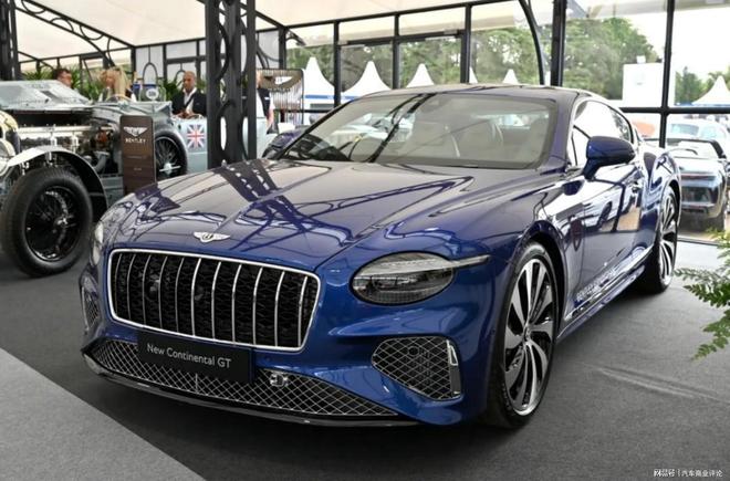 电动化狂踩刹车欧美集体和中国“唱反调”(图4)