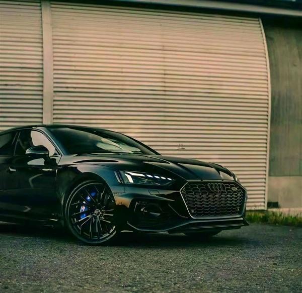 奥迪2026放大招！全系一代Q7、Q9领衔还要复活A2纯电版！(图2)