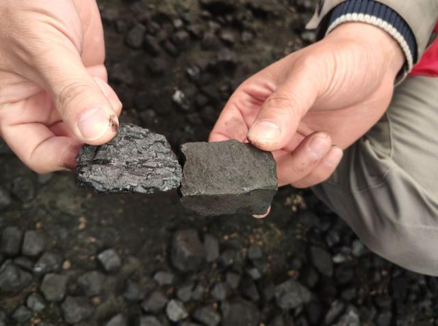 “一条线的人都被买通了”谁来证明纸业巨头买了掺假煤？(图1)