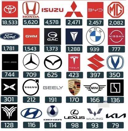 中国汽车出海征途：奇瑞比亚迪扛大旗下一个新大陆在非洲？(图10)