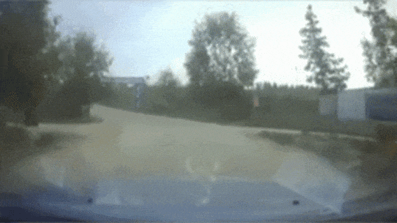 乡村公路状况多返乡开车需谨慎！(图5)