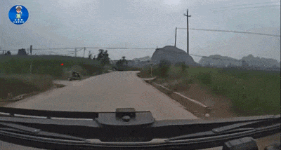 乡村公路状况多返乡开车需谨慎！(图6)